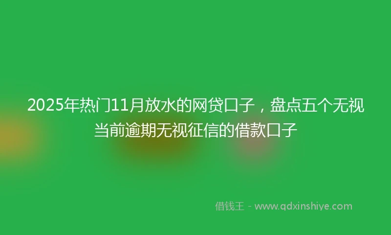 2025年热门11月放水的网贷口子，盘点五个无视当前逾期无视征信的借款口子