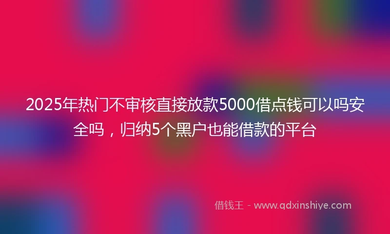 2025年热门不审核直接放款5000借点钱可以吗安全吗，归纳5个黑户也能借款的平台