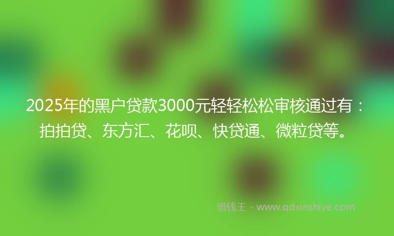 2025年的黑户贷款3000元轻轻松松审核通过有：拍拍贷、东方汇、花呗、快贷通、微粒贷等。