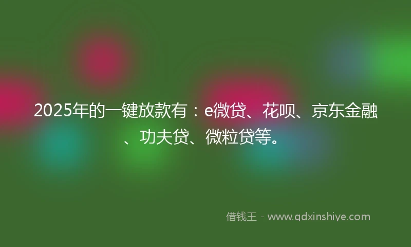2025年的一键放款有：e微贷、花呗、京东金融、功夫贷、微粒贷等。