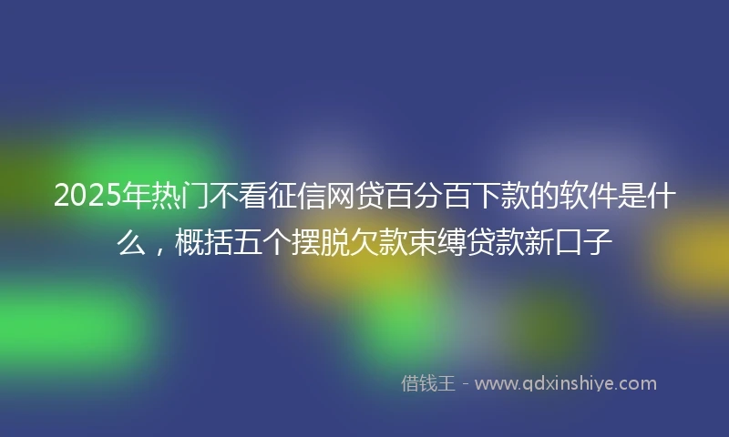 2025年热门不看征信网贷百分百下款的软件是什么,概括五个摆脱欠款束缚贷款新口子