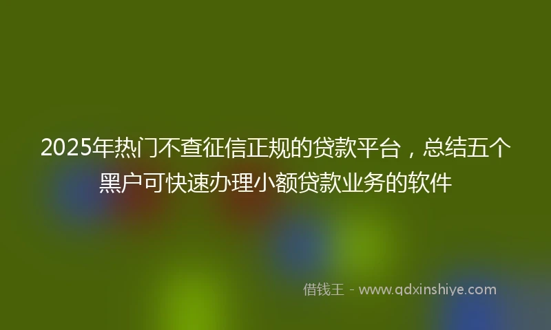 2025年热门不查征信正规的贷款平台，总结五个黑户可快速办理小额贷款业务的软件