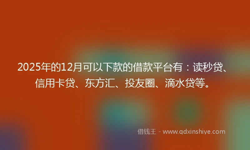 2025年的12月可以下款的借款平台有：读秒贷、信用卡贷、东方汇、投友圈、滴水贷等。