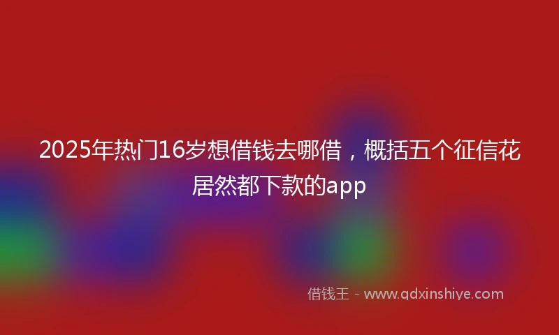 2025年热门16岁想借钱去哪借，概括五个征信花居然都下款的app