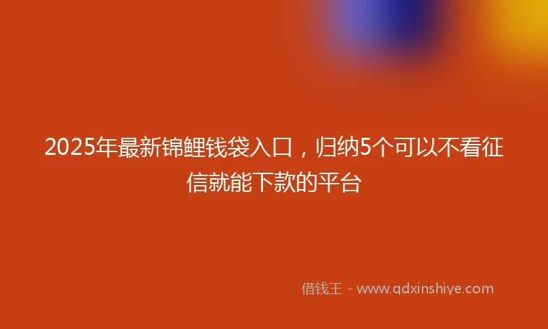 2025年最新锦鲤钱袋入口，归纳5个可以不看征信就能下款的平台