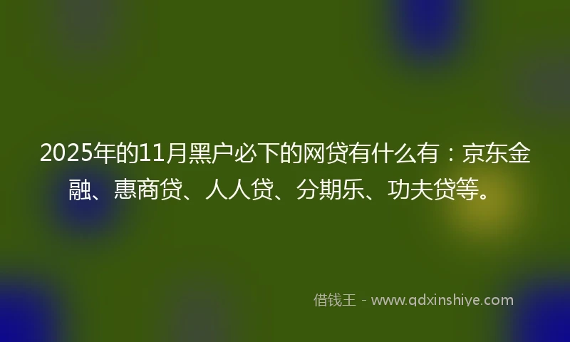 2025年的11月黑户必下的网贷有什么有：京东金融、惠商贷、人人贷、分期乐、功夫贷等。