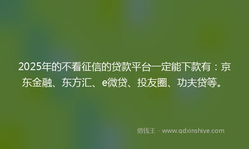 2025年的不看征信的贷款平台一定能下款有：京东金融、东方汇、e微贷、投友圈、功夫贷等。