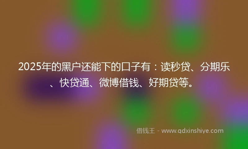 2025年的黑户还能下的口子有：读秒贷、分期乐、快贷通、微博借钱、好期贷等。