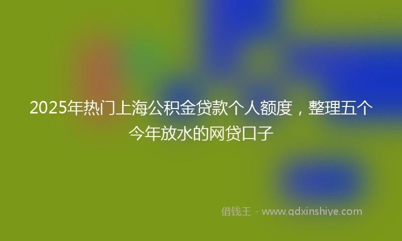 2025年热门上海公积金贷款个人额度，整理五个今年放水的网贷口子