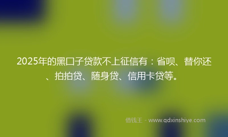 2025年的黑囗子贷款不上征信有：省呗、替你还、拍拍贷、随身贷、信用卡贷等。