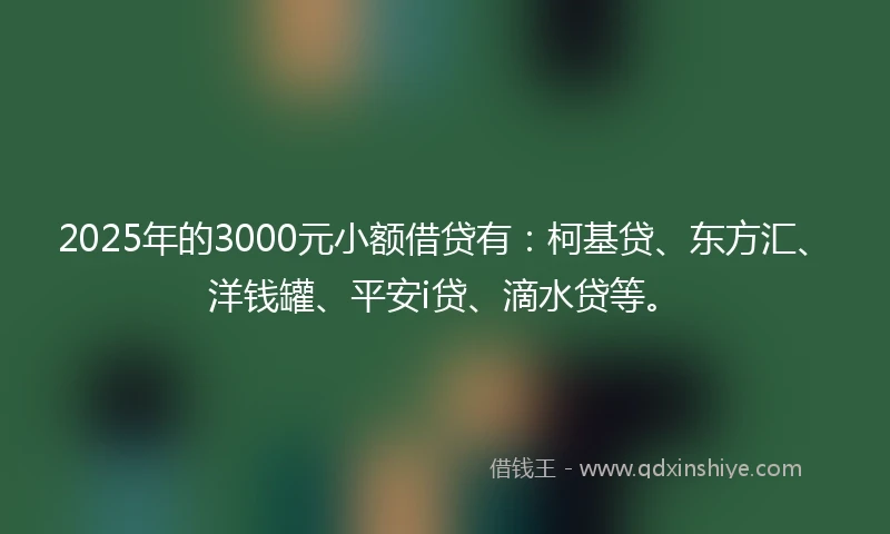 2025年的3000元小额借贷有：柯基贷、东方汇、洋钱罐、平安i贷、滴水贷等。
