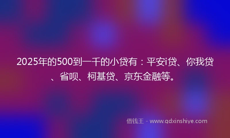 2025年的500到一千的小贷有：平安i贷、你我贷、省呗、柯基贷、京东金融等。