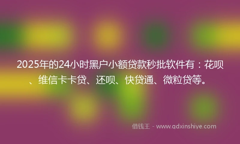2025年的24小时黑户小额贷款秒批软件有：花呗、维信卡卡贷、还呗、快贷通、微粒贷等。