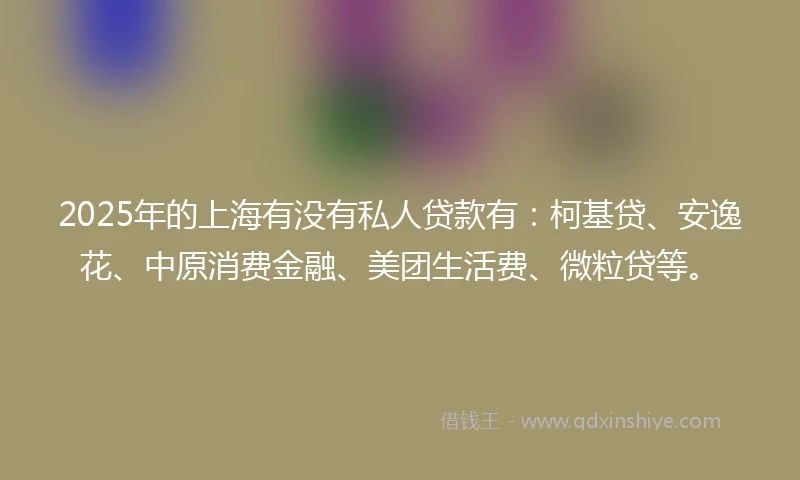 2025年的上海有没有私人贷款有：柯基贷、安逸花、中原消费金融、美团生活费、微粒贷等。