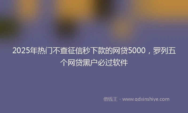 2025年热门不查征信秒下款的网贷5000，罗列五个网贷黑户必过软件