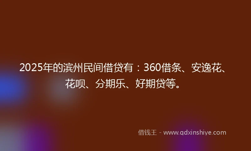 2025年的滨州民间借贷有：360借条、安逸花、花呗、分期乐、好期贷等。