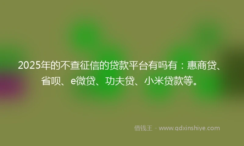 2025年的不查征信的贷款平台有吗有：惠商贷、省呗、e微贷、功夫贷、小米贷款等。