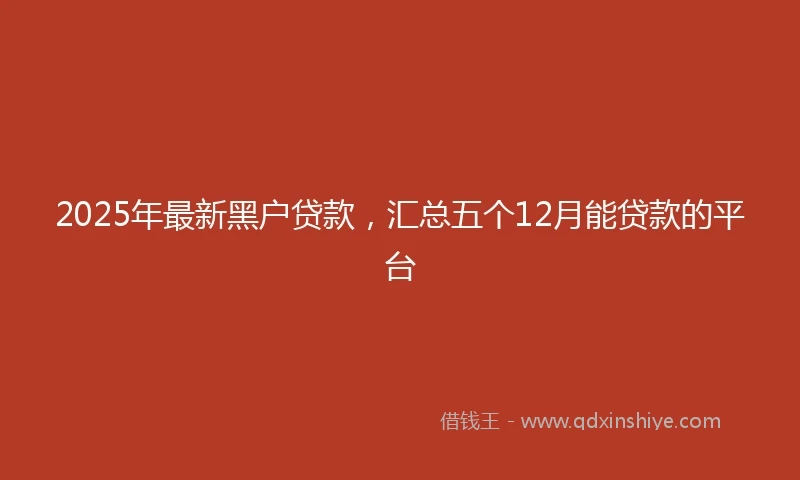 2025年最新黑户贷款，汇总五个12月能贷款的平台