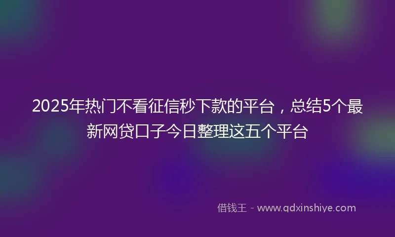 2025年热门不看征信秒下款的平台，总结5个最新网贷口子今日整理这五个平台
