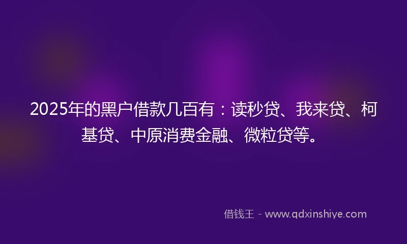 2025年的黑户借款几百有：读秒贷、我来贷、柯基贷、中原消费金融、微粒贷等。