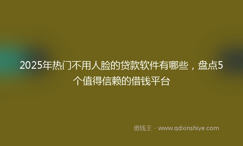 2025年热门不用人脸的贷款软件有哪些，盘点5个值得信赖的借钱平台