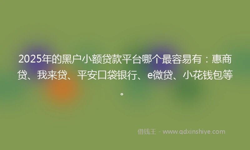 2025年的黑户小额贷款平台哪个最容易有:惠商贷、我来贷、平安口袋银行、e微贷、小花钱包等。