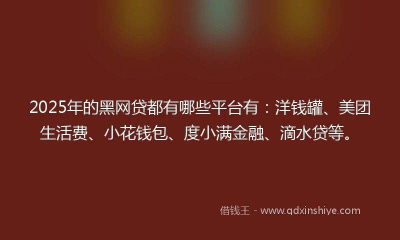 2025年的黑网贷都有哪些平台有：洋钱罐、美团生活费、小花钱包、度小满金融、滴水贷等。