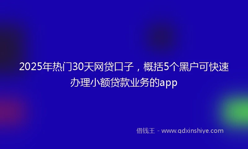 2025年热门30天网贷口子,概括5个黑户可快速办理小额贷款业务的app