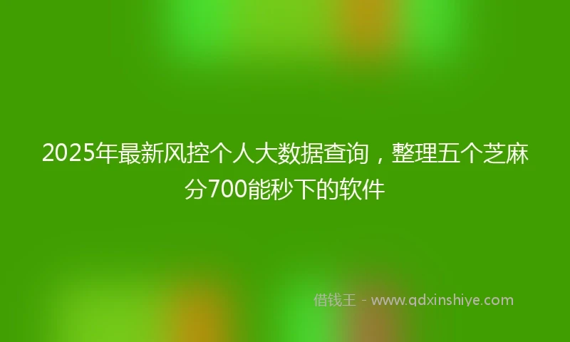 2025年最新风控个人大数据查询，整理五个芝麻分700能秒下的软件