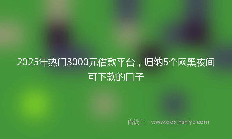 2025年热门3000元借款平台，归纳5个网黑夜间可下款的口子