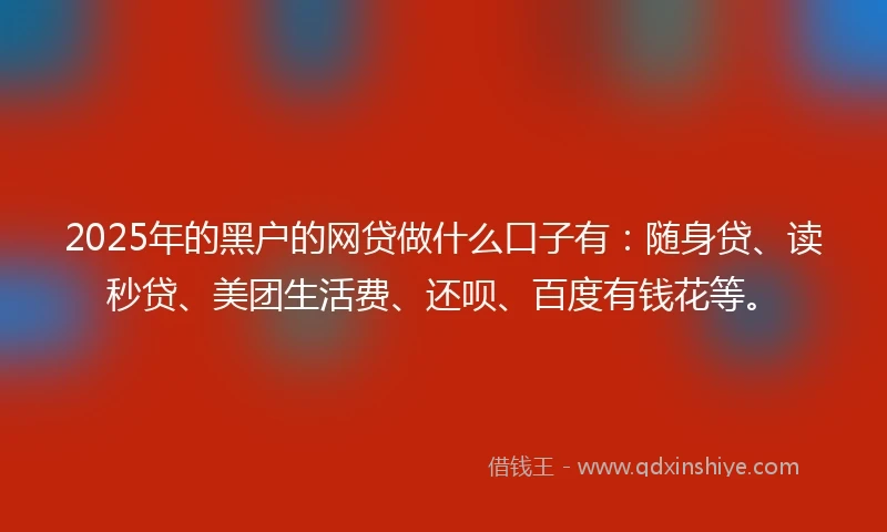 2025年的黑户的网贷做什么口子有：随身贷、读秒贷、美团生活费、还呗、百度有钱花等。