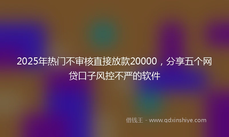 2025年热门不审核直接放款20000，分享五个网贷口子风控不严的软件