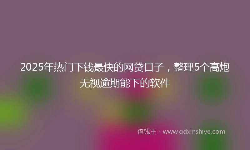 2025年热门下钱最快的网贷口子，整理5个高炮无视逾期能下的软件