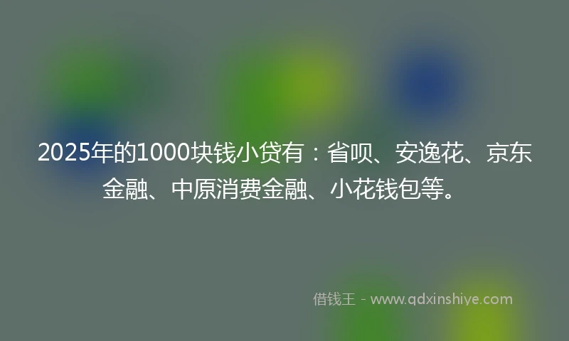 2025年的1000块钱小贷有:省呗、安逸花、京东金融、中原消费金融、小花钱包等。
