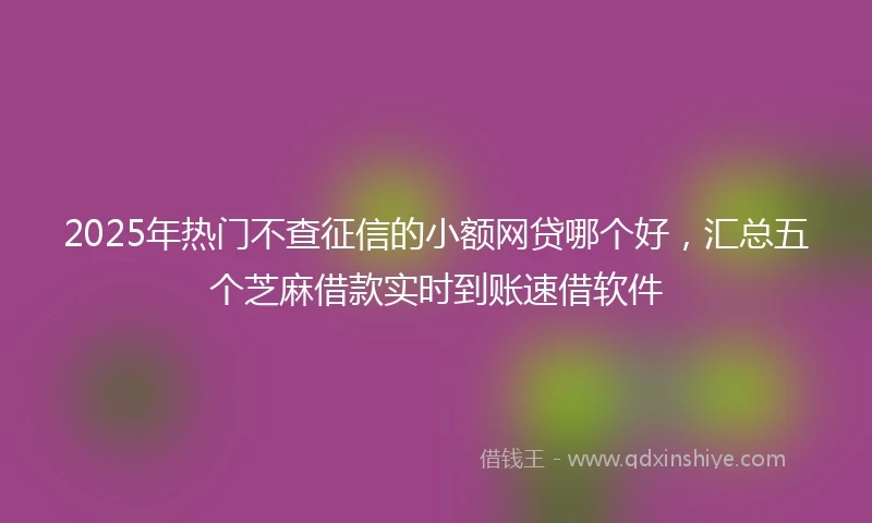 2025年热门不查征信的小额网贷哪个好，汇总五个芝麻借款实时到账速借软件