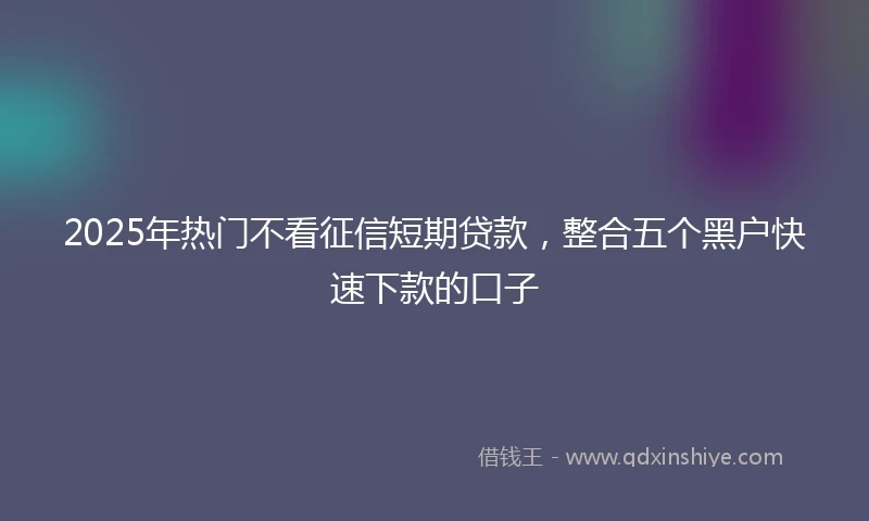 2025年热门不看征信短期贷款，整合五个黑户快速下款的口子