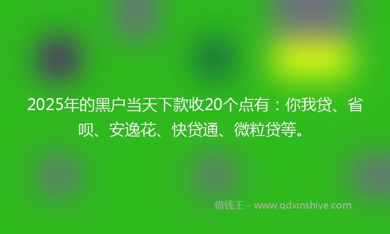 2025年的黑户当天下款收20个点有：你我贷、省呗、安逸花、快贷通、微粒贷等。