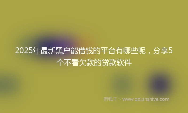 2025年最新黑户能借钱的平台有哪些呢，分享5个不看欠款的贷款软件