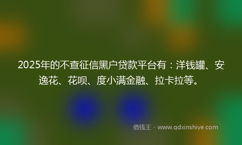 2025年的不查征信黑户贷款平台有：洋钱罐、安逸花、花呗、度小满金融、拉卡拉等。