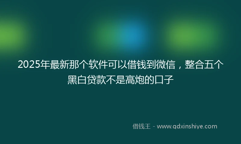 2025年最新那个软件可以借钱到微信,整合五个黑白贷款不是高炮的口子