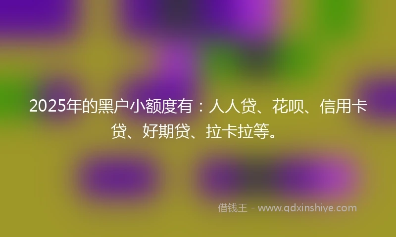2025年的黑户小额度有：人人贷、花呗、信用卡贷、好期贷、拉卡拉等。