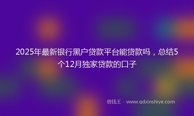 2025年最新银行黑户贷款平台能贷款吗，总结5个12月独家贷款的口子