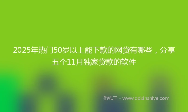 2025年热门50岁以上能下款的网贷有哪些，分享五个11月独家贷款的软件