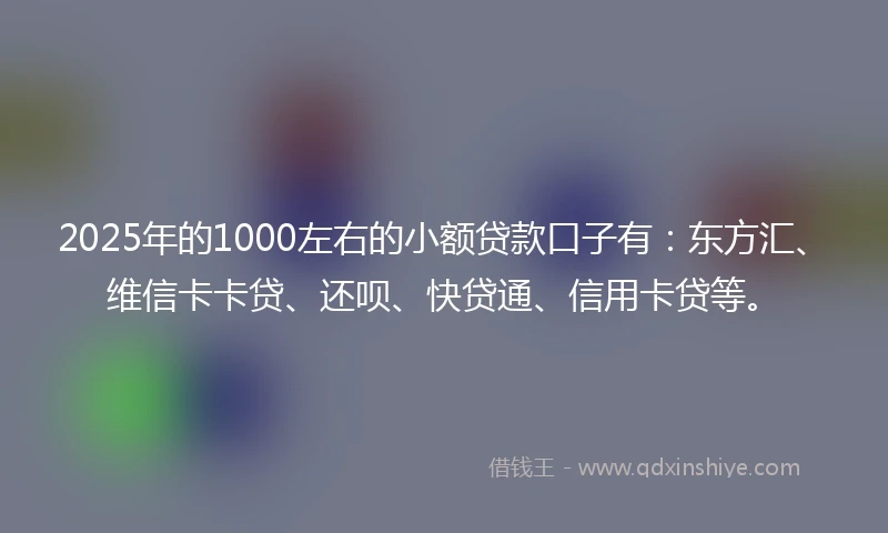 2025年的1000左右的小额贷款口子有:东方汇、维信卡卡贷、还呗、快贷通、信用卡贷等。
