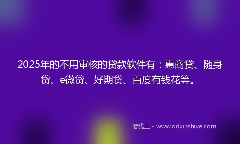 2025年的不用审核的贷款软件有：惠商贷、随身贷、e微贷、好期贷、百度有钱花等。