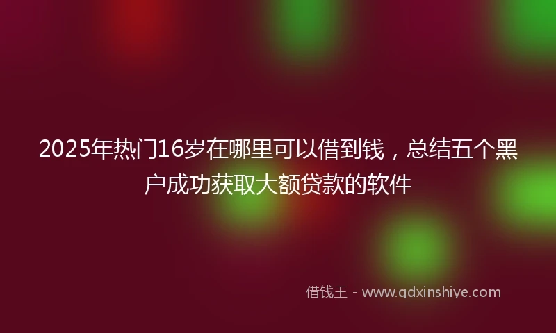 2025年热门16岁在哪里可以借到钱，总结五个黑户成功获取大额贷款的软件