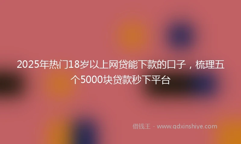 2025年热门18岁以上网贷能下款的口子，梳理五个5000块贷款秒下平台