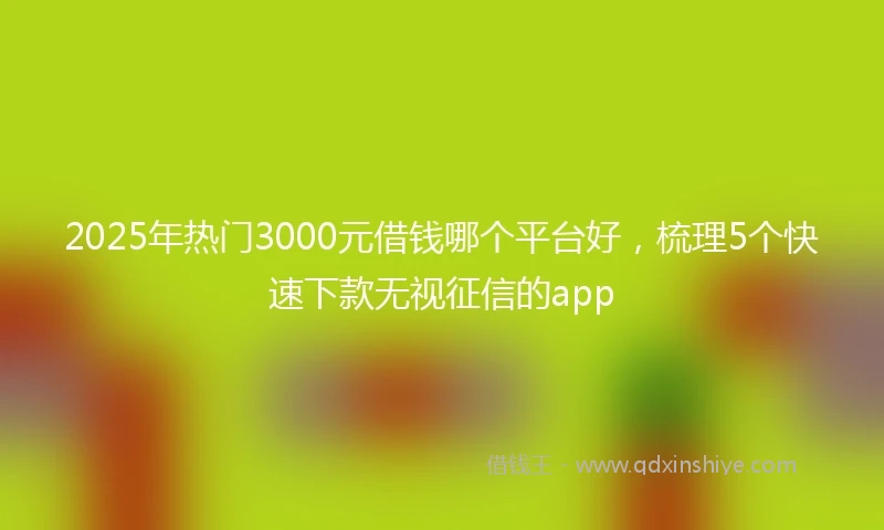 2025年热门3000元借钱哪个平台好，梳理5个快速下款无视征信的app