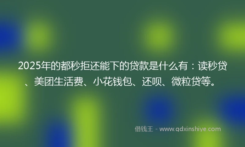 2025年的都秒拒还能下的贷款是什么有：读秒贷、美团生活费、小花钱包、还呗、微粒贷等。