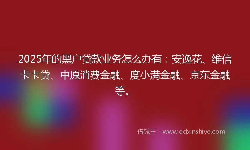 2025年的黑户贷款业务怎么办有：安逸花、维信卡卡贷、中原消费金融、度小满金融、京东金融等。